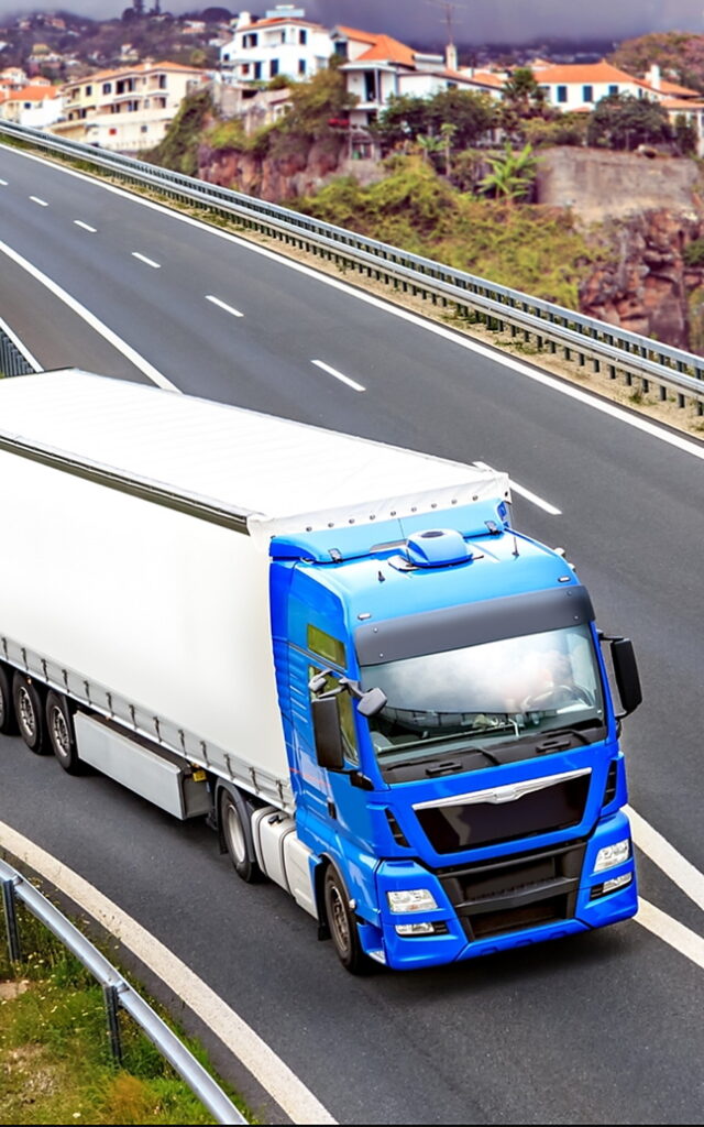 camion amplio